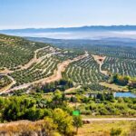 10 daagse fly drive Adembenemend Andalusië