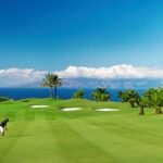 Riu Arecas Golf